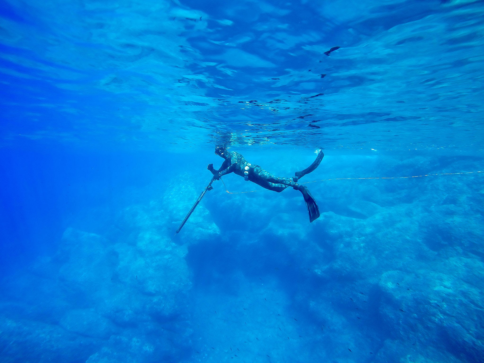 freediver spearfishing in the blue water